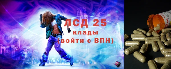 бошки Аркадак