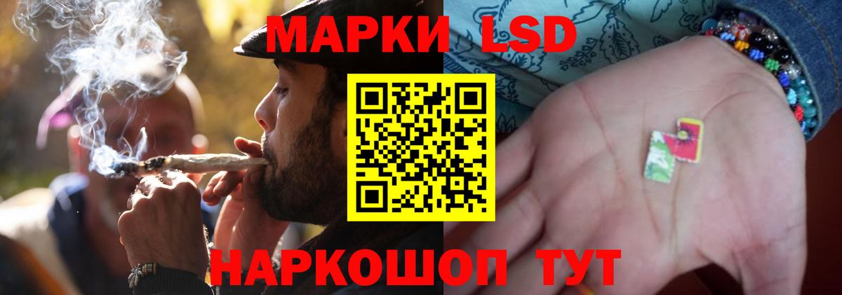 Псилоцибиновые грибы Новозыбков