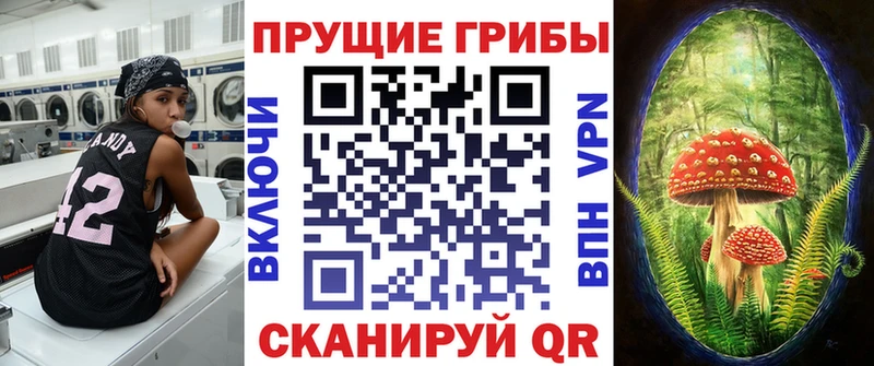 продажа наркотиков  Новозыбков  даркнет формула  Галлюциногенные грибы мухоморы 