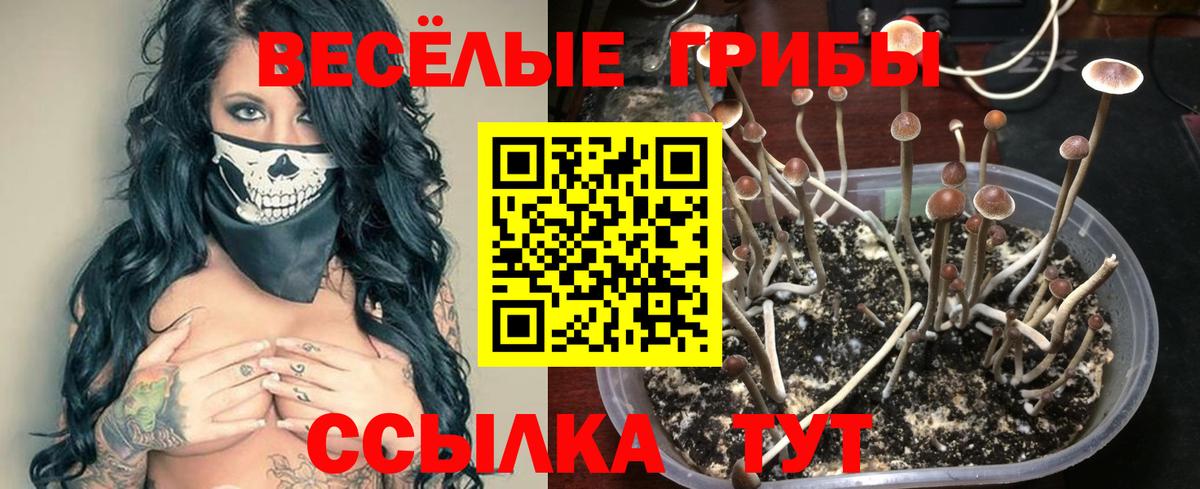 Галлюциногенные грибы Magic Shrooms Новозыбков